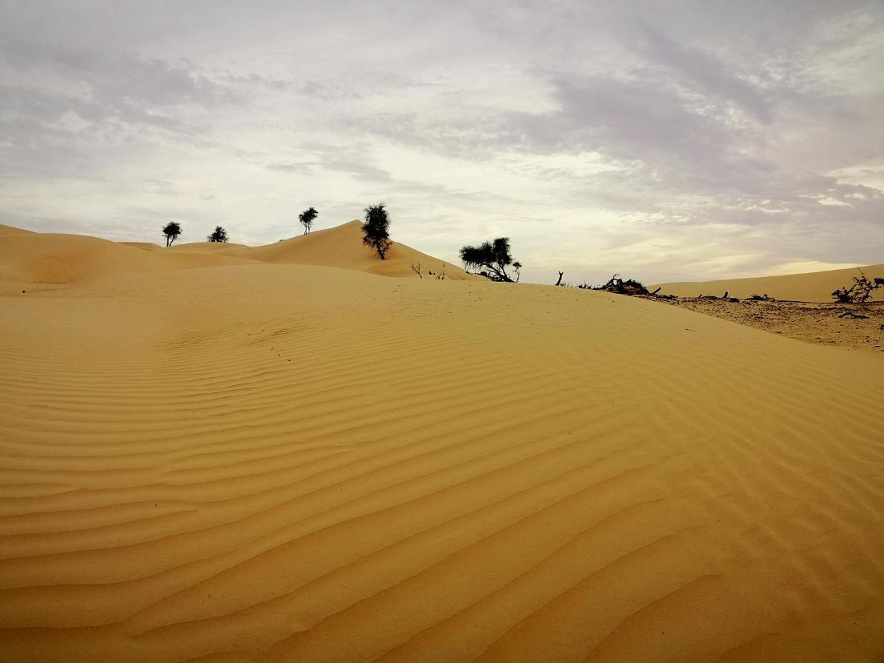 Queen Desert Camp Fulayj al Masha'ikh Exterior photo